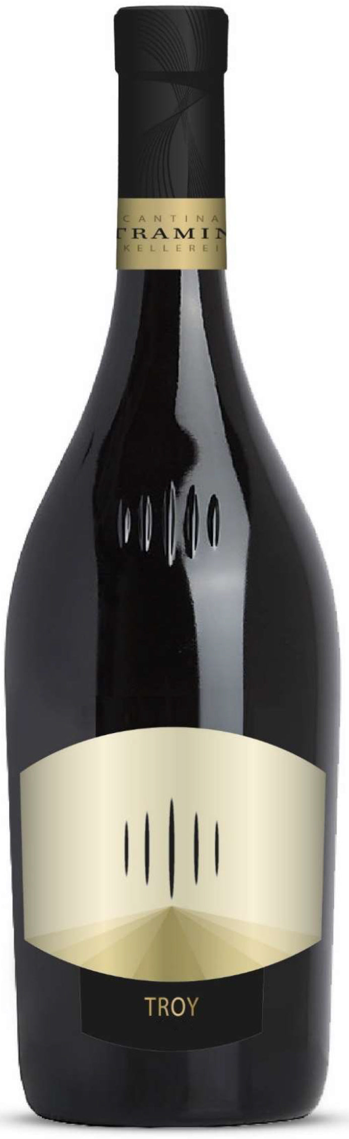 Chardonnay Riserva TROY DOC 2016